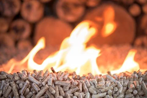 Biomass in flames Stock Photos