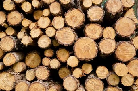 Biomass Stock Photos