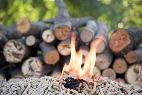 Biomass Foto stock