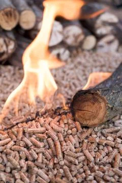 Biomass Stock Photos