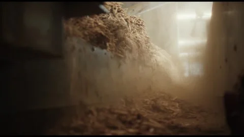 Biomass Sliding Down Chute into Growing Pile, Storage Hall, Low Angle Shot Video stock 341436930