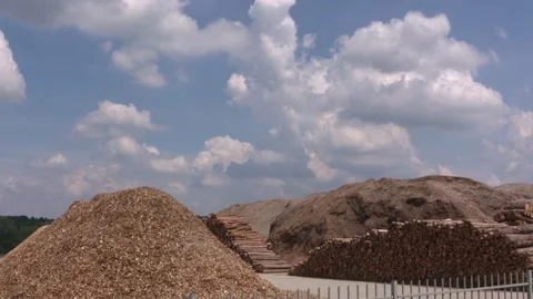 Biomass storage - hog fuel, logs, forest debris and wood chips piles Stock Footage