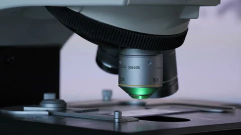 Biomaterial under the microscope Video stock 92566570