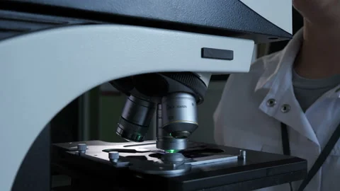Biomaterial under the microscope Stock-Footage 92568475