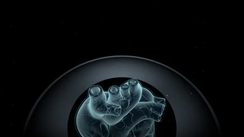 Biomechanical Aortic Valve Macro, 4K ProRes Stock Footage 336363302