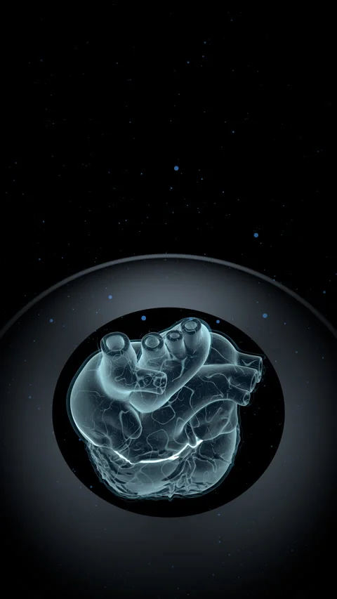 Biomechanical Aortic Valve Macro, Vertical Video 9:16 4K Stock Footage 336363347