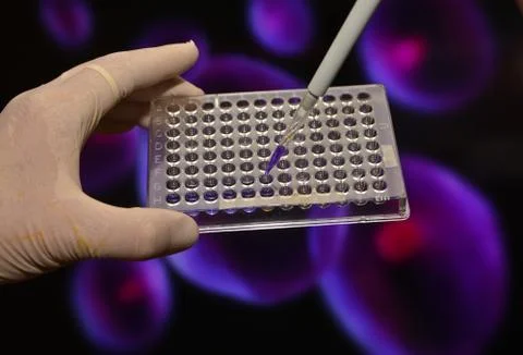 In the biomedical laboratory. Stock Photos