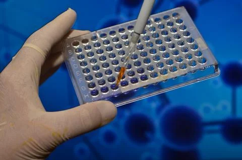 In the biomedical laboratory. Stock-Fotos