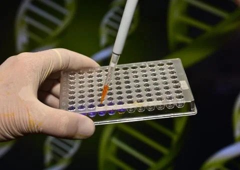 In the biomedical laboratory. Stock Photos