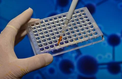 In the biomedical laboratory. Stock Photos