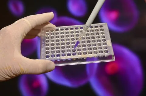 In the biomedical laboratory. Stock Photos