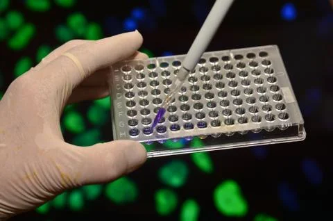 In the biomedical laboratory. Stock Photos