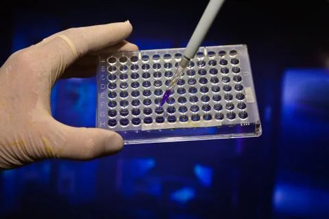 In the biomedical laboratory. Stock Photos