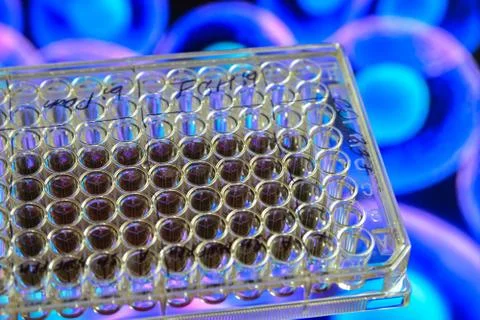 In the biomedical laboratory. Stock Photos