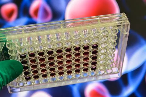 In the biomedical laboratory. Stock Photos
