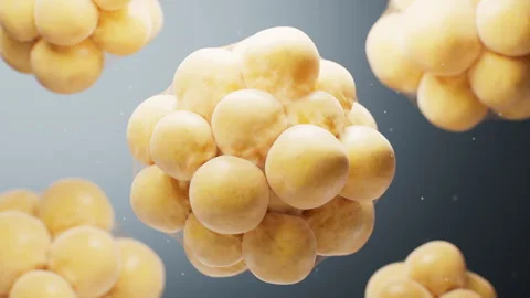 Biomedical microscopic fat cells structure, 3d rendering. Video stock 316272240
