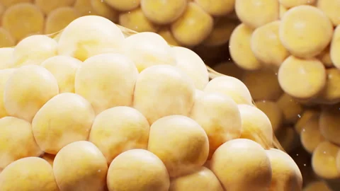 Biomedical microscopic fat cells structure, 3d rendering. Video stock 316272507