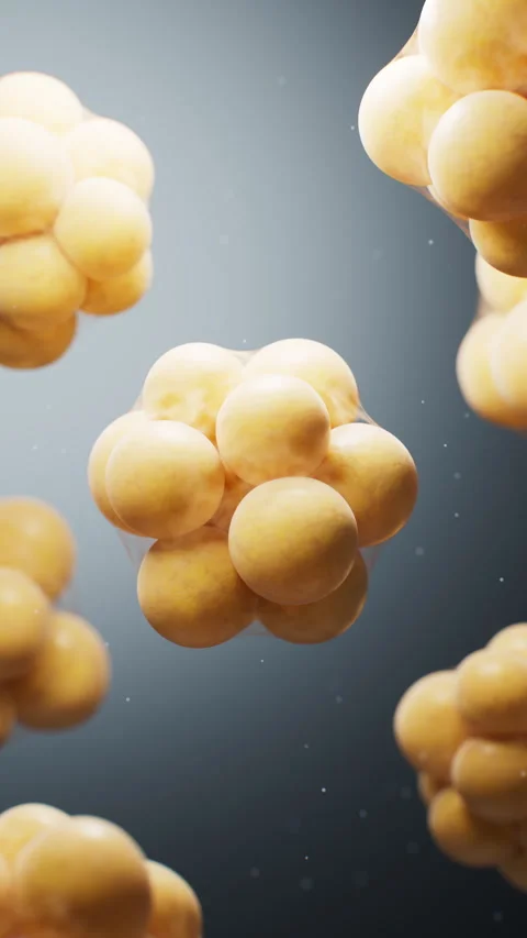 Biomedical microscopic fat cells structure, 3d rendering. Video stock 316272574