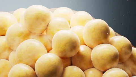 Biomedical microscopic fat cells structure, 3d rendering. Video stock 316273768