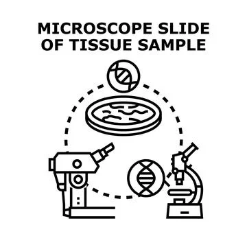 Biomedical research examining tissue sample under microscope Stock Illustration