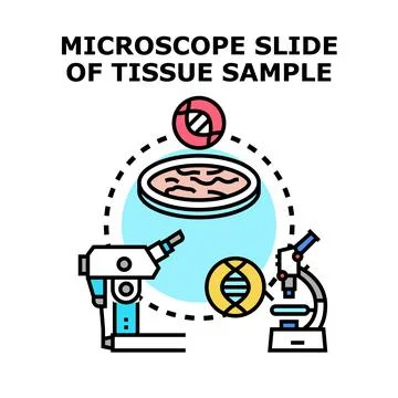 Biomedical research examining tissue sample under microscope Stock Illustration