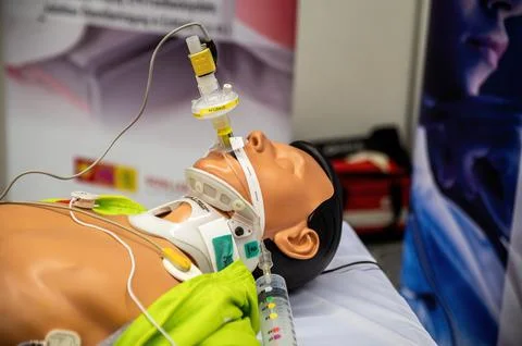 Biomedical Simulation on plastic human body showing uses of Inner Cannulas tubes Foto stock