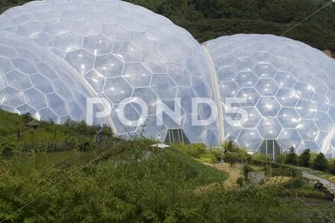 Biomes Stock Photos