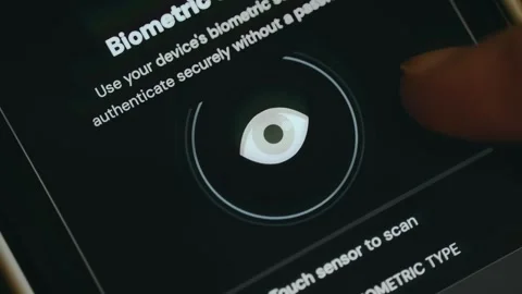 Biometric authentication process using iris scanner Stock Footage 334413225