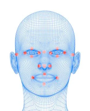 Biometric facial map Stock Illustration