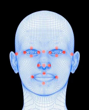 Biometric facial map Stock Illustration
