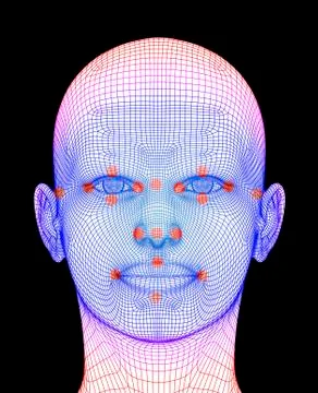 Biometric facial map Stock Illustration