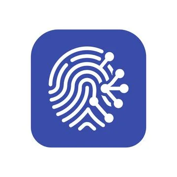 Biometric fingerprint icon with digital nodes white and blue representing d.. Stock Illustration