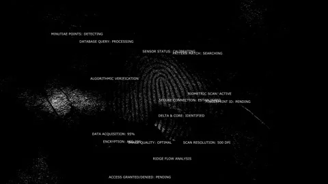 Biometric Fingerprint Scan and Data Matching on Futuristic Interface for Cyber Stock Footage 340256289