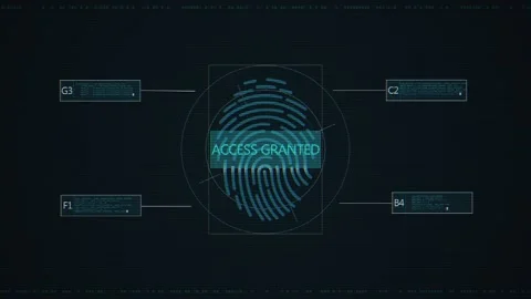 Biometric identity scan visual with fingerprint HUD, access granted text, code p Stock Footage 340552849
