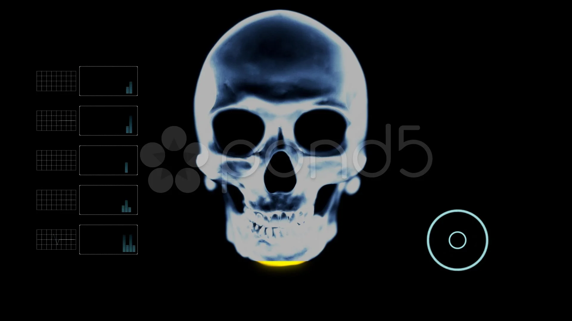 Biometric Scanning Skull Under X- Ray wi... | Stock Video | Pond5