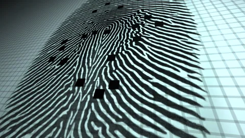 Biometric security system Scanning fingerprint patterns on digital grid Stock Footage 311805838