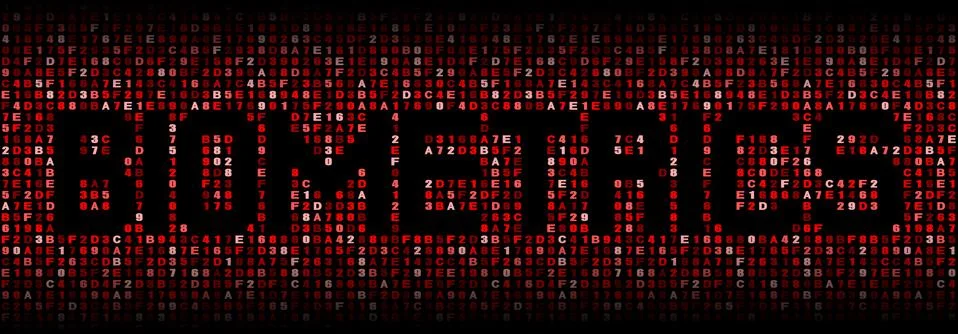 Biometrics text on hex code illustration Stock Illustration