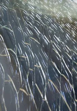 Biomorph shapes and structures, pattern and texture on a surface biomorph ... Stock Photos