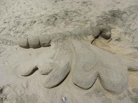 Biomorph shapes, structures and patterns Stock Photos