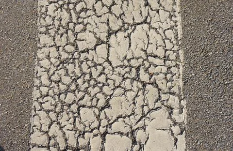 Biomorph shapes, structures and patterns Stock Photos