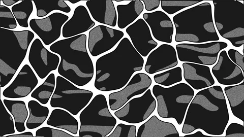 Biomorphic abstract background. Abstract organic white and black pattern. Stock Footage 314274749