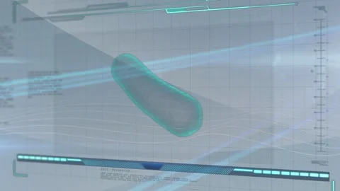 Biomorphic object appearing, morphing capsule into long bean, rotating as HUD Stock Footage 334788039