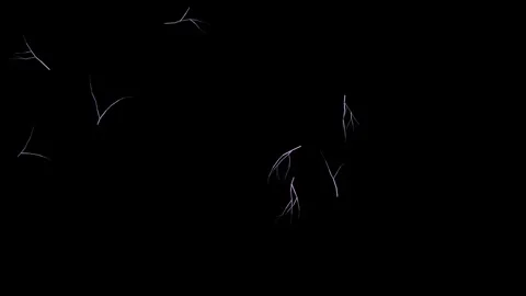 Biomorphic vein network animation 4K Vídeos de archivo 336517055