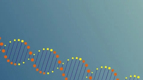 Biomorphism in DNA Double Helix Animation Stock Footage 283423846