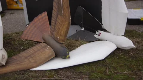 Bionic Birds Stock Footage 48632723