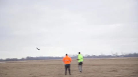 Bionic Birds Stock Footage 48632857