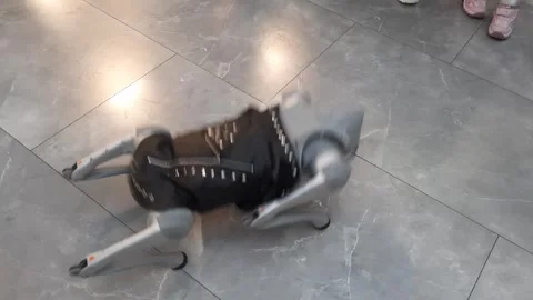 Bionic robot dog jumping on the floor Stock-Footage 295439022