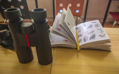 Bionoculars with Bird Guide Stock Photos