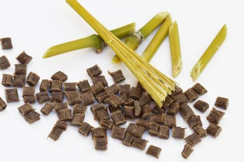Biopolymer with Bamboo Stock Photos