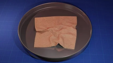 Bioprinted skin. 3d animation render. Stock Footage 255920881